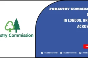 Forestry Commission Jobs