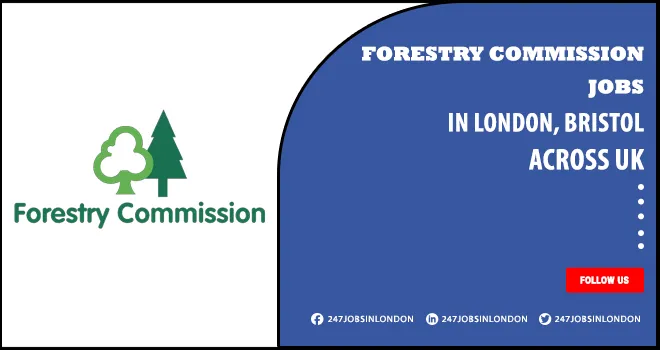 Forestry Commission Jobs For New Forest | Apply Online Forestry Commission Jobs
