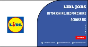 Lidl Jobs