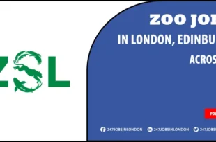 Zoo Jobs